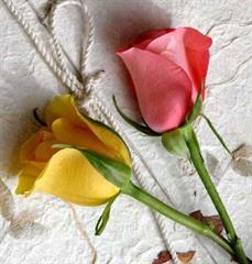 برقراري دوستي